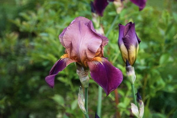 Quels critères utiliser pour sélectionner un ambassadeur de marque pour une startup de technologie verte ?